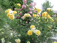 IMG_0357.webp