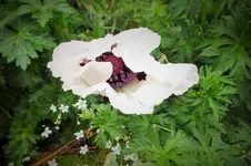DSCF1378 (2).webp