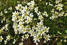 DSCF1391 (2).webp