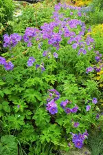 DSCF1397 (2).webp