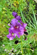 DSCF1396 (2).webp