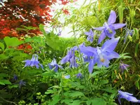 DSCF1400 (3).webp