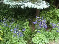 BILD4011.webp