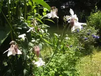 BILD4023.webp