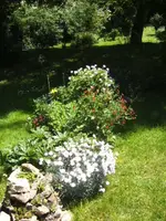 BILD4057.webp