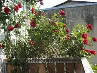 BILD4026.webp