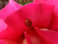 DSCF9351.webp