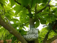 DSCF9337.webp