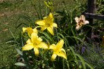 IMG_9178.jpg