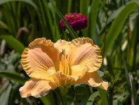 IMG_9179.webp