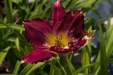IMG_9169.jpg