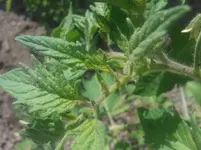 20150610_143704.webp