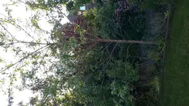 20150610_195206.jpg