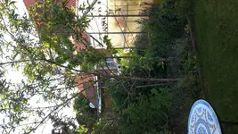 20150610_195319.jpg