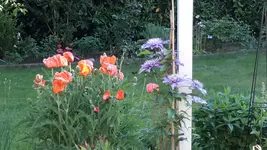 20150610_195533.webp