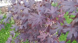 20150610_201457.webp