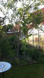 464082d1433959104-rosis-garten-20150610_195319.jpg