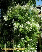 IMG_5029.webp