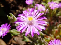 DSCF9355.webp