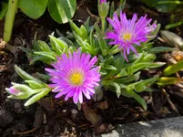 DSCF9358.webp
