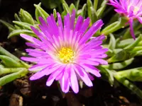 DSCF9360.webp