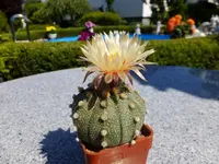 DSCF9379.webp