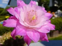 DSCF9392.webp