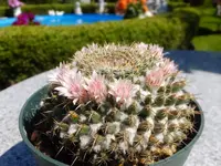 DSCF9400.webp