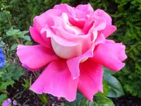 DSCF9447.webp
