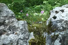 DSCF1319.webp