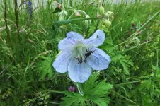 DSCF1332 (2).webp
