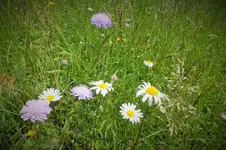 DSCF1336 (2).webp