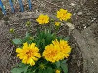 k-P1090460.webp