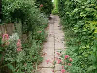 k-P1090479.webp