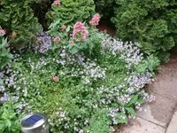 k-P1090480.webp