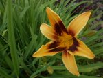 DSCN2513.jpg