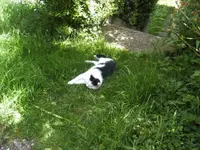 BILD3962.webp