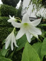 025.webp