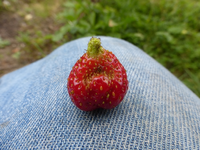 P1430206.webp