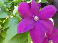DSCF9407.webp