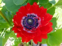 DSCF9418.webp