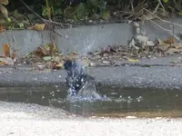 DSCF9434.webp