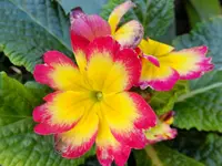 DSCF9448.webp