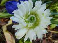 DSCF9457.webp