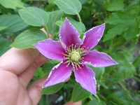 P1420551.webp