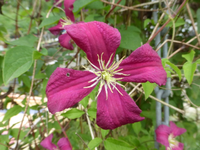 P1430119.webp