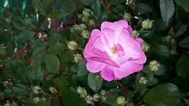 20150611_185255.jpg