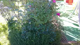 20150611_190714.webp