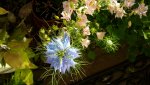 20150611_190530.jpg