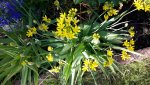 20150611_190734.jpg